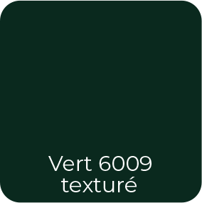 Nuancier SIB vert 6009 texturé